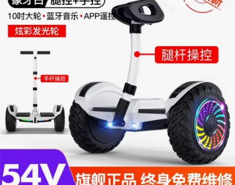 2021新款电动平衡车腿控成年双轮智能儿童...