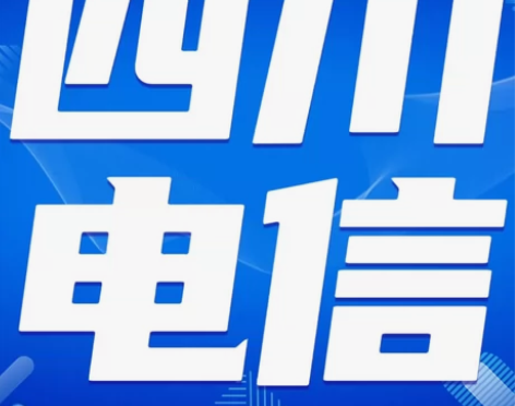 四川电信200话费|24-72小时到账丨可...