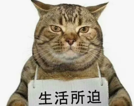 一个不务正业的托尼老师 价格150元一次,...