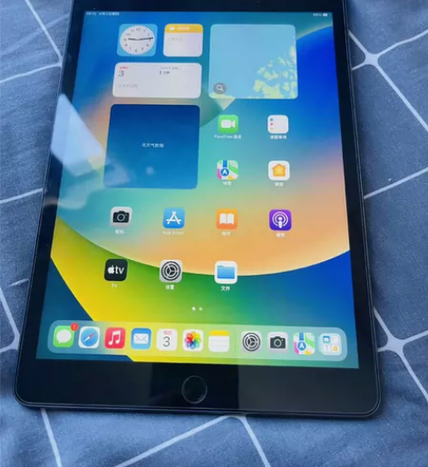 带笔出学生工作室自用iPad2019 ...