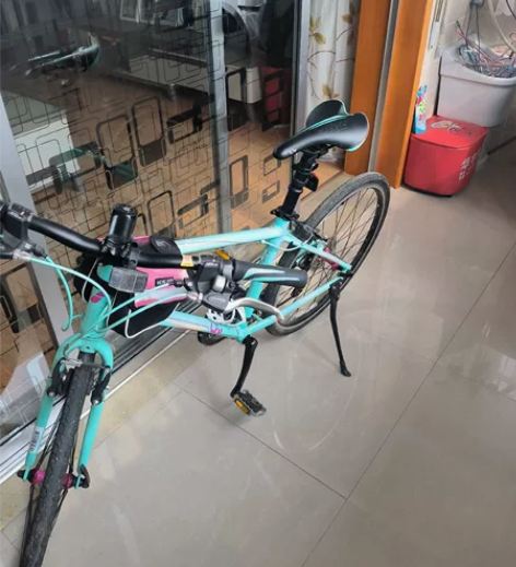 捷安特liv 妃莎,S码,买了几年了。没骑...