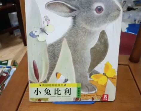 【正版绘本】亮丽精美触摸书:小兔比利(中英...