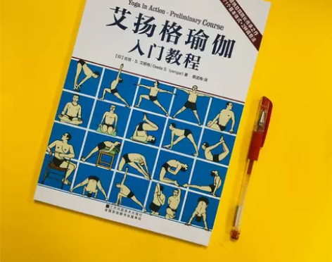 现货包邮艾扬格瑜伽入门教程 蔡孟梅译瑜伽畅...