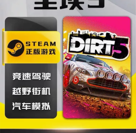 尘埃5 Steam离线中文电脑游戏 PC正...