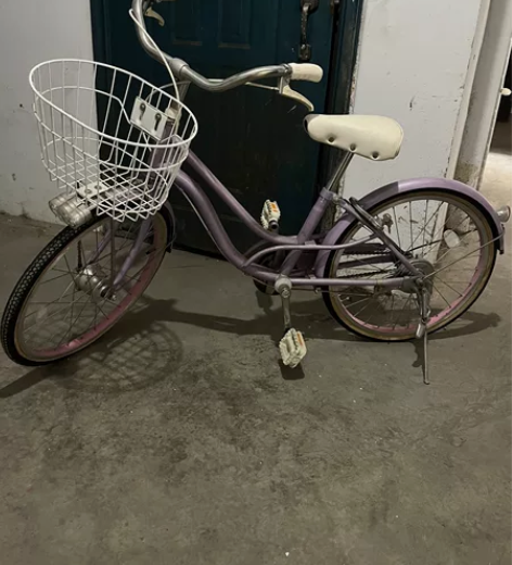 进口自行车，雅哥弟旗下品牌，小朋友骑过几次...