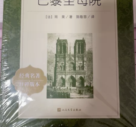 全新书籍,包装都没拆,20一本,巴黎圣母院...