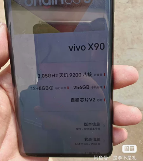 vivox90 12+256 23年...