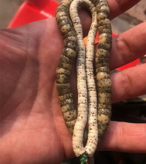 6毫米 原生态星月薄切 115颗左右 13...