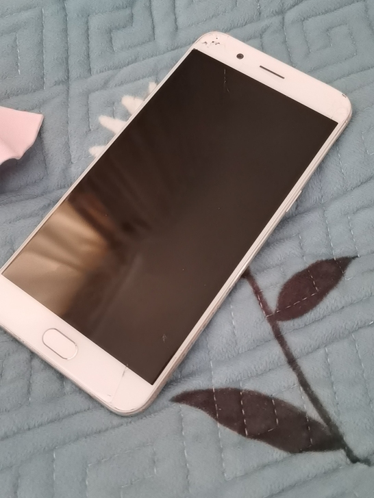 OPPO R11 PLUS有人定了有人定了...