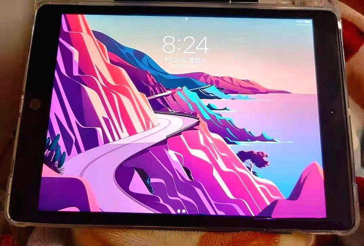 iPad2019  128g 真心出，求真...