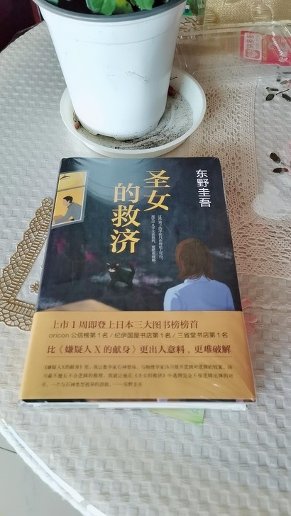 圣女的救济(精装硬壳)东野圭吾惊悚/侦探推...