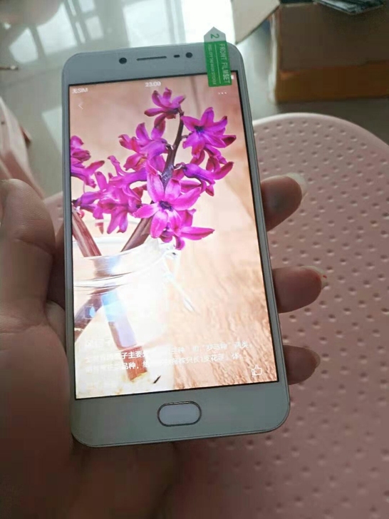 vivo y67全网通4G 智能手机指纹解...