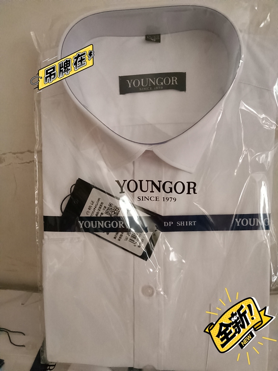 清仓大甩卖正品夏季雅戈尔衬衫男士短袖商务休...