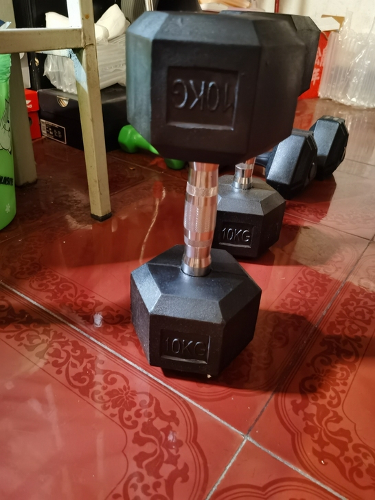 品牌实心铸铁10kg哑铃一对 （单只标10...