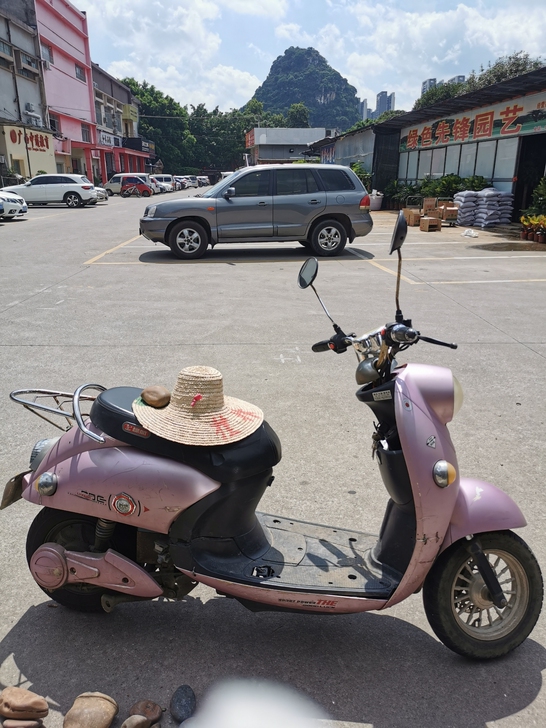 二手电动车，限当面交易，不在网上拍卖
