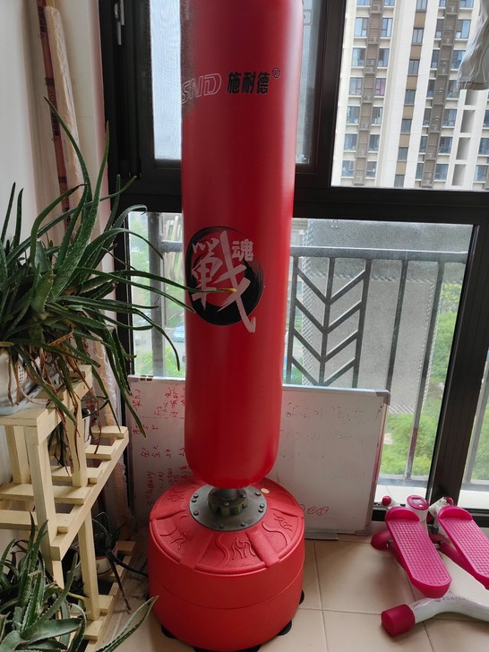 施耐德拳击沙袋不倒翁立式家用健身跆拳道成人...