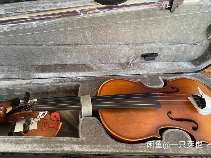 金音小提琴 全新!琴行进货太多,低价销售部...