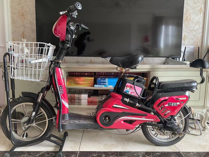 爱玛电动车 电动自行车 48V12A 至...