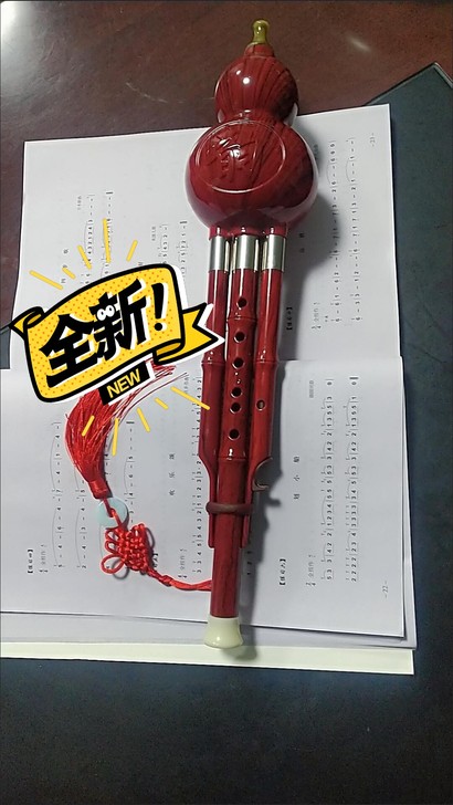 葫芦丝乐器初学者儿童C调中小学生入门自学零...