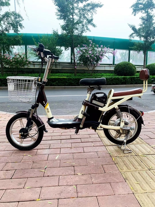雅迪电动车 电瓶车