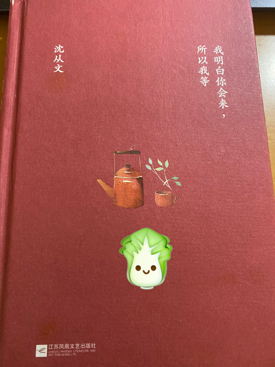 沈从文 我明白你会来,所以我等