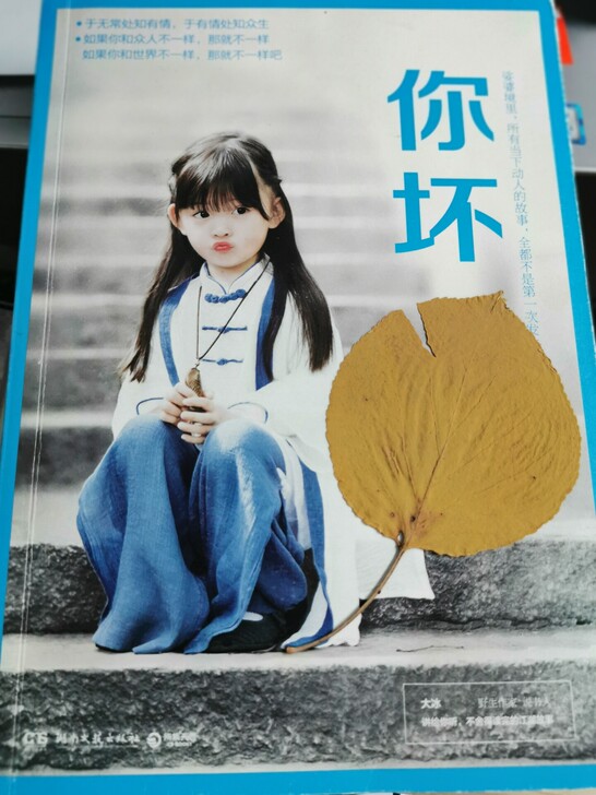 你坏 正版 全新未看，存放一段时间