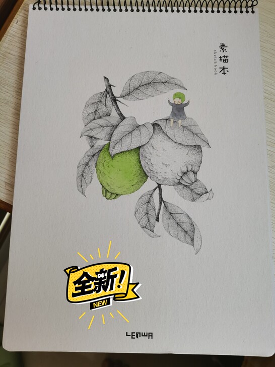 素描本,尺寸252*353mm,共25张