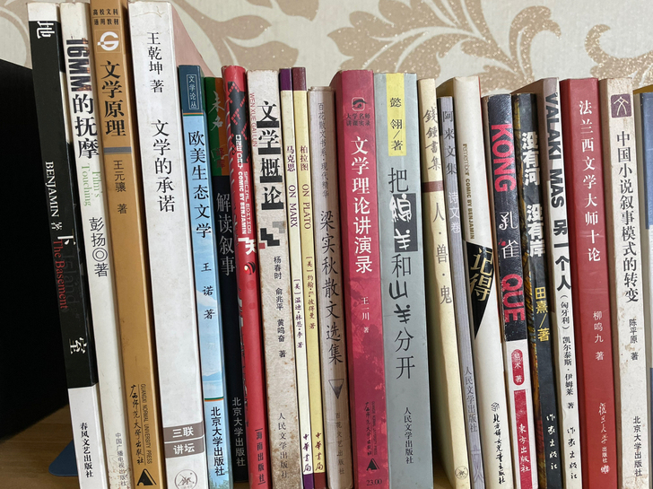 个人闲置文学类书籍，小说等。作者包含、梁实...