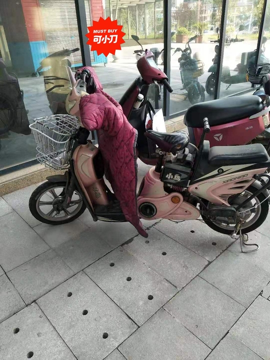 出辆小鸟电动车