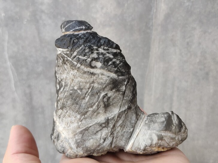 灵璧石《龟驼山》