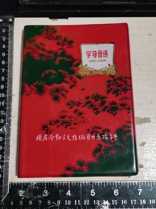 老日记本,学习鲁迅日记本,基本沒写字,有页...