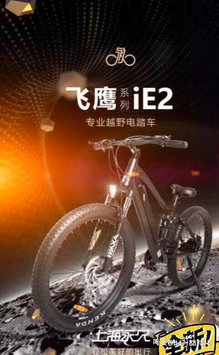 全新 新国标 永久飞鹰iE2电动自行车越...