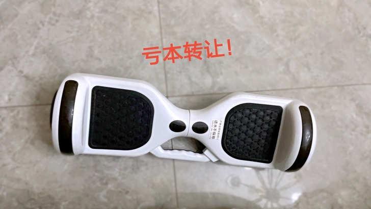 【亏本转让】雷龙手提两轮电动平行车儿童成人...