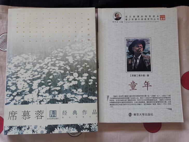 全新闲置文学图书,席慕容作品集和高尔基的童...