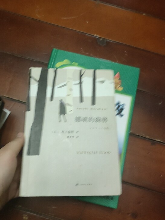 《挪威的森林》村上春树。有暇,介意勿拍。新...