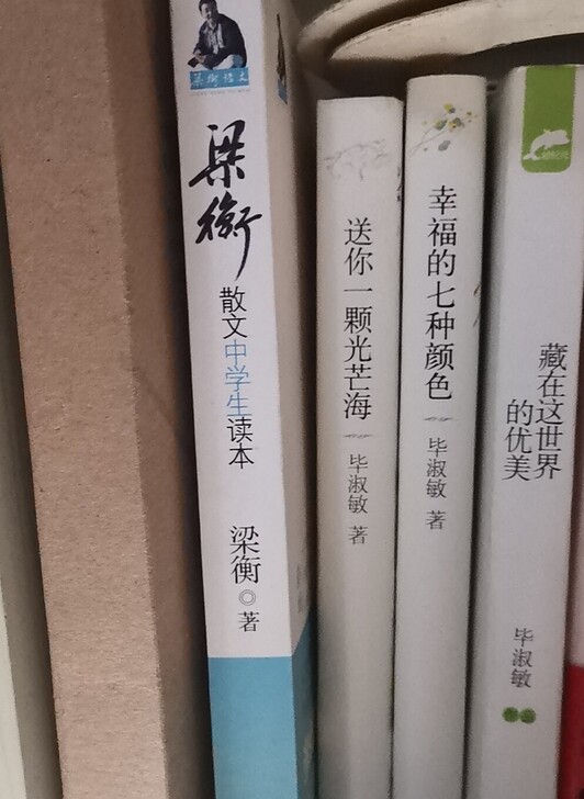 毕淑敏散文九成新，拆封后看过一次