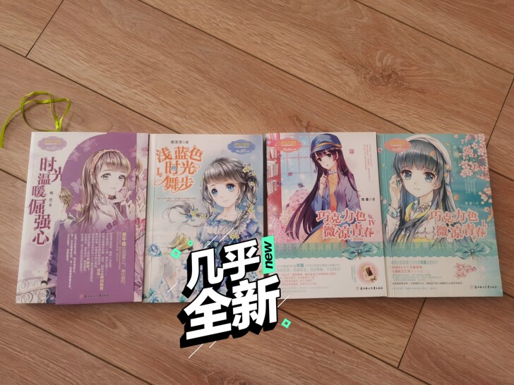 青春文学系列小说  九成新