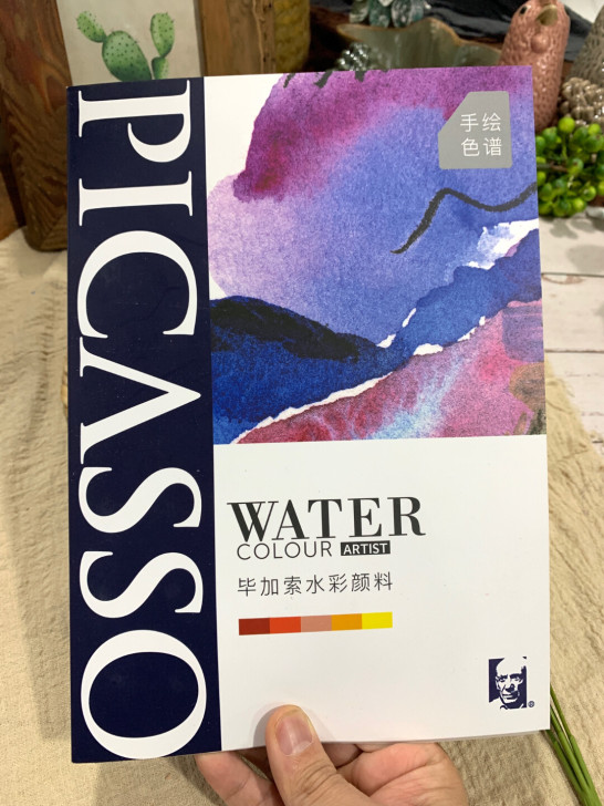 【包邮】毕加索水彩颜料点状色卡48色