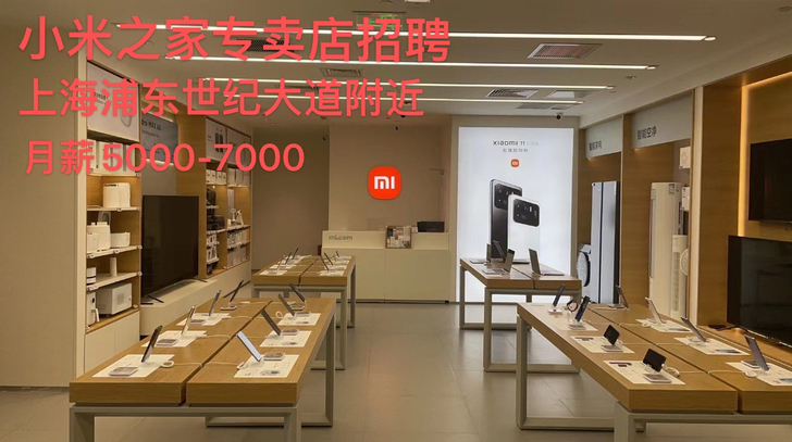 小米专卖店 小米11 pro 青春版##a...