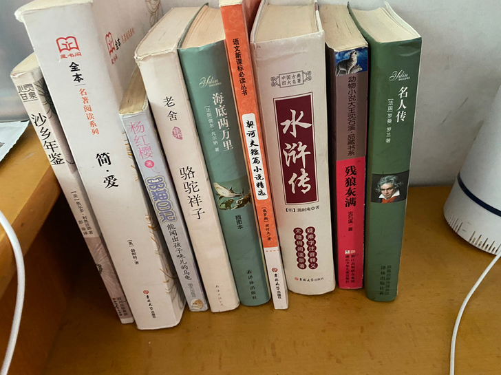 闲置书籍