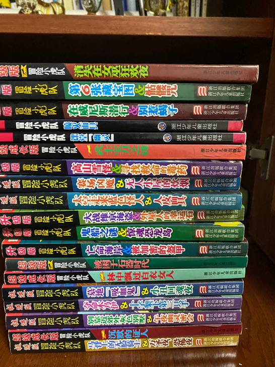 冒险小虎队系列 小朋友适合看的侦探小说 单...
