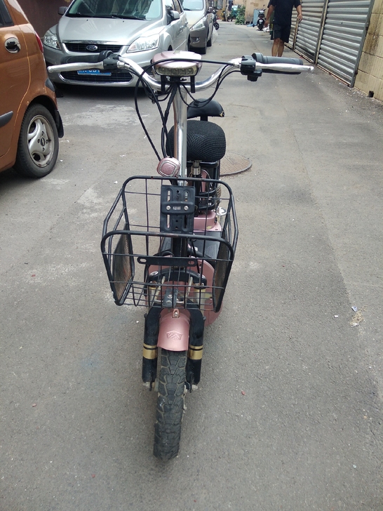 绿源电动车，新国标电动车，挂绿牌，48伏，...