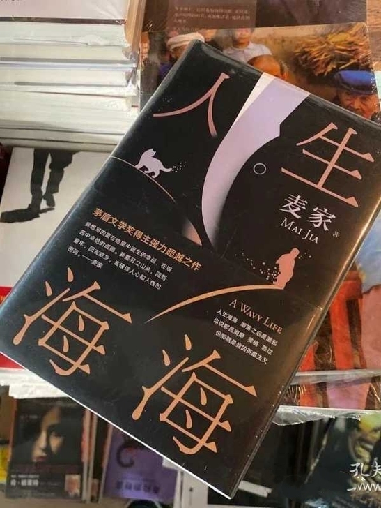 人生海海（精装）麦家现代当代文学作品 现货...