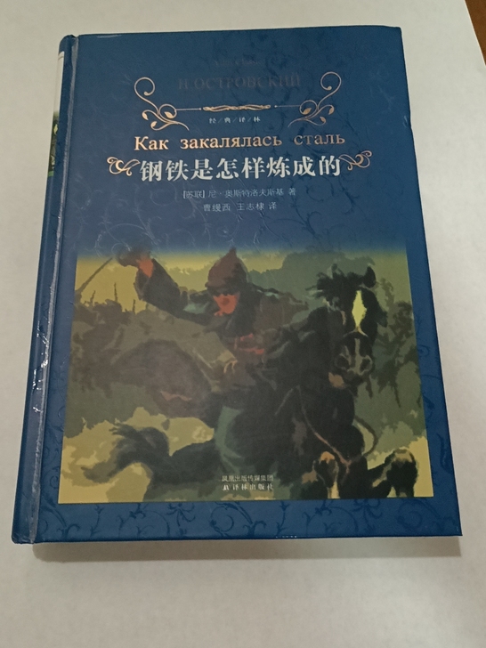 初中必读书目《钢铁是怎样炼成的》,译林出版...