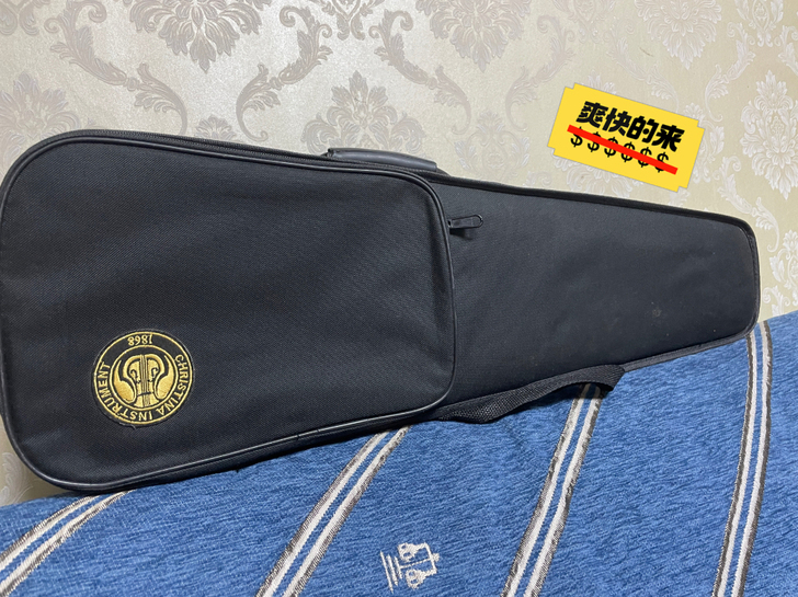 此琴1600元入手，是我家孩子学琴时的第一...