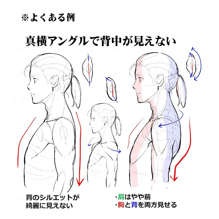 插画 人体 形体 素材 艺用解剖线稿 人体...