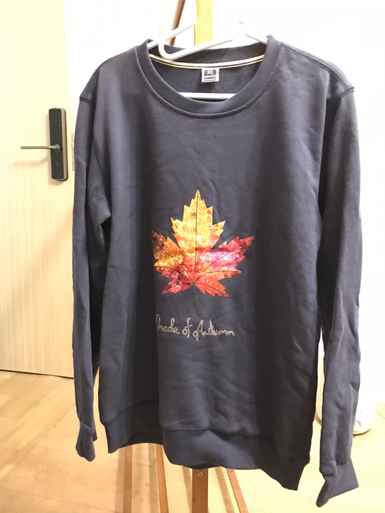 全新卫衣,男,适合170左右