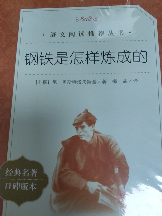 钢铁是怎样炼成的,