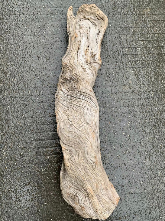 崖柏 崖柏全陈化 高品质 陈皮香  高山流...