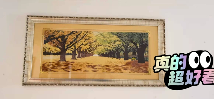 刺绣画 现转让有需要的朋友 尺寸如图 买的...